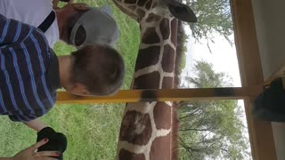 Fun with a giraffe