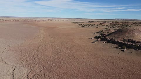 Arizona painted Desert