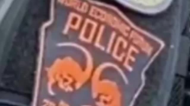 The World Economic Forum Police.