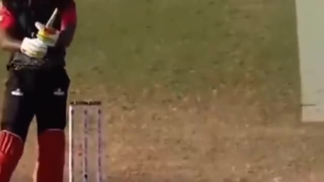 Cricket videos