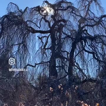 WALK ACROSS THIS LAND!