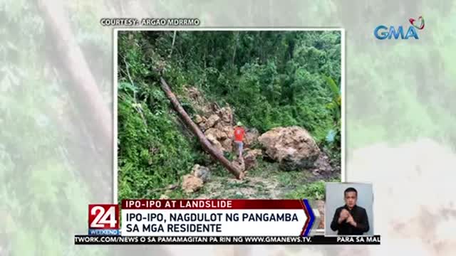 Ipo-ipo sa Catmon, Cebu, nagdulot ng pangamba sa mga residente