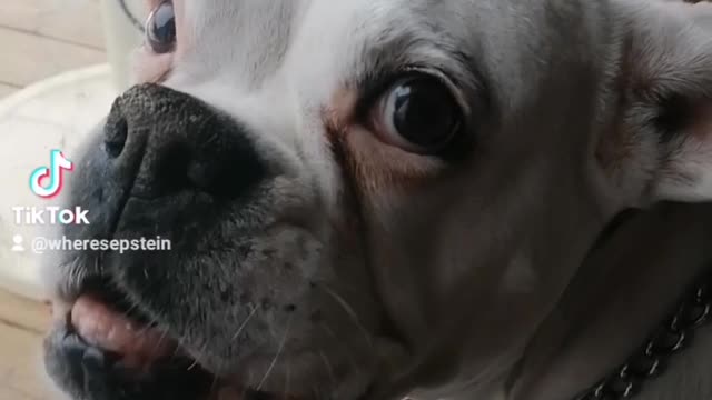 White supremacist in canada