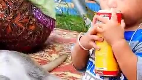 Bonding with a monkey