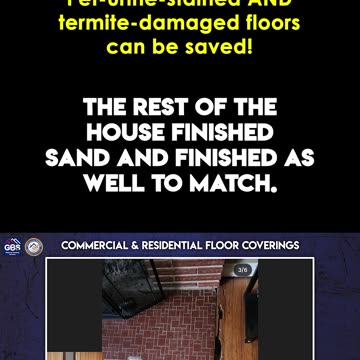 Pet-urine-stained and termite-damaged floors CAN be saved!