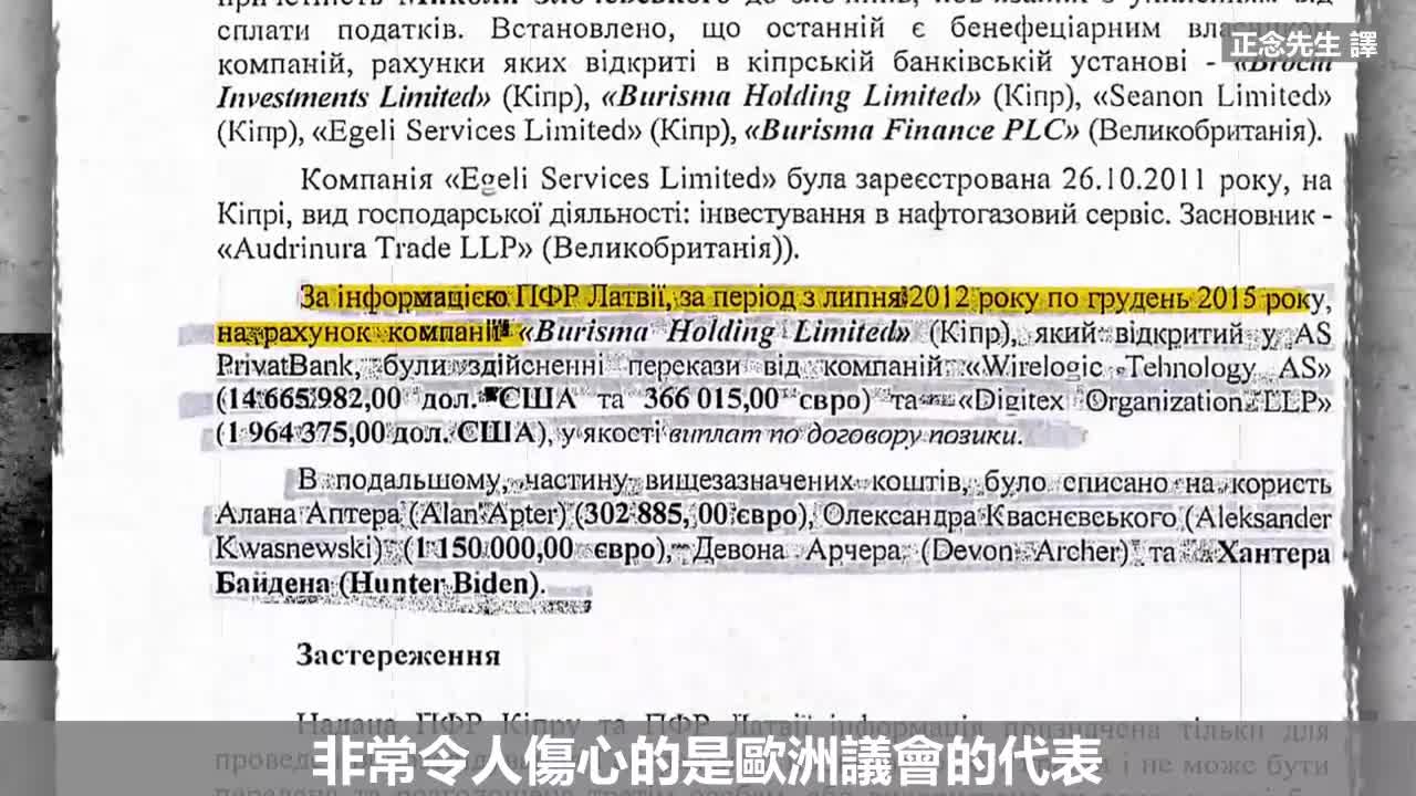 不甘沦为奴隶的乌克兰人，起身反抗国际腐败分子！国家英雄女兵、前国会议员娜迪亚·萨夫琴科领衔拍摄揭露真相的纪录片，展示大量政府秘密文件，不畏生死