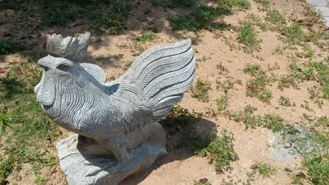 Chinese Zodiac - Rooster