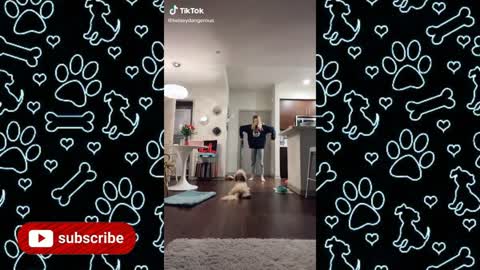 Kulikitaka TikTok Challenge with Dogs