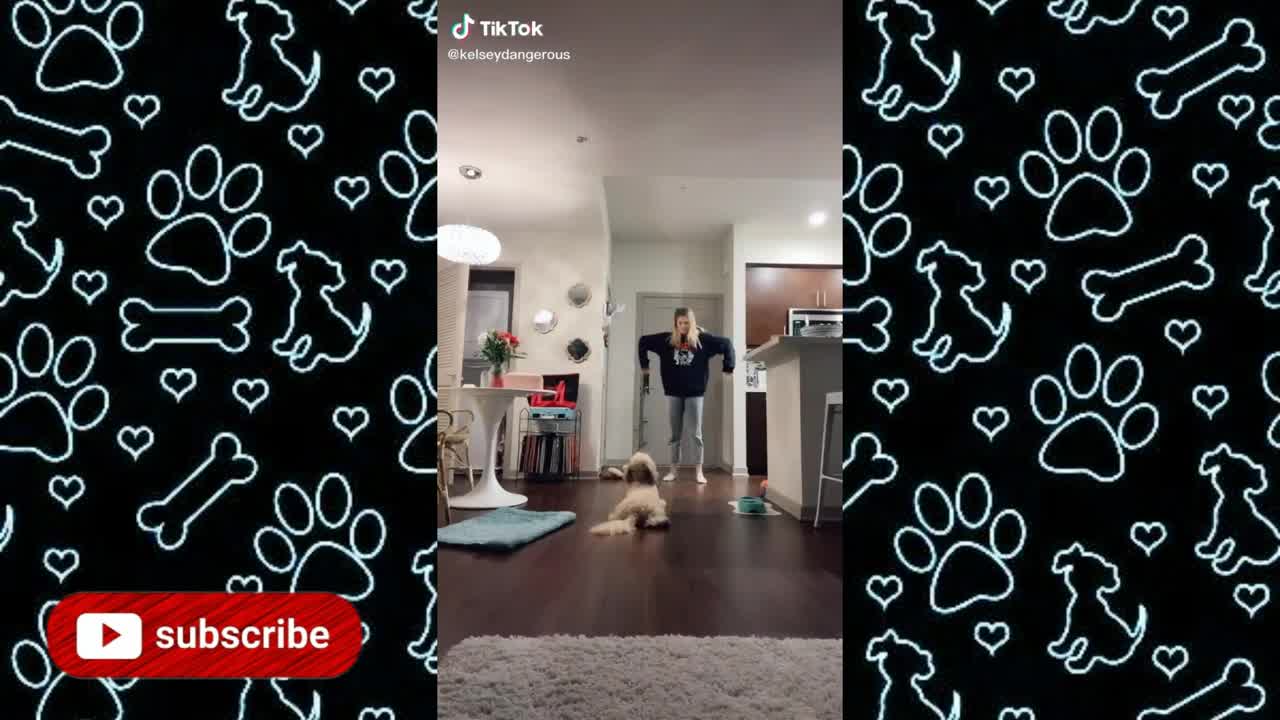 Kulikitaka TikTok Challenge with Dogs