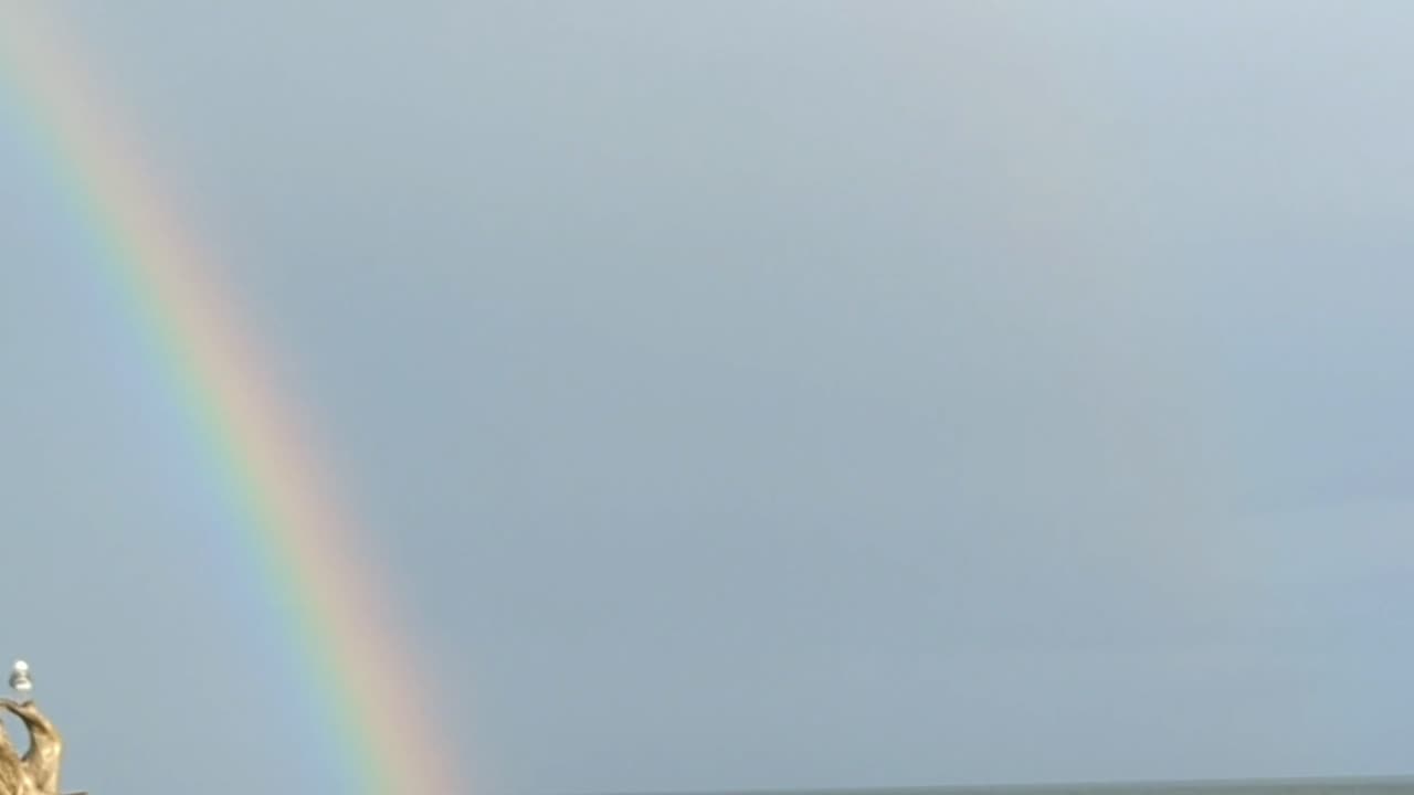 Straight up Rainbow