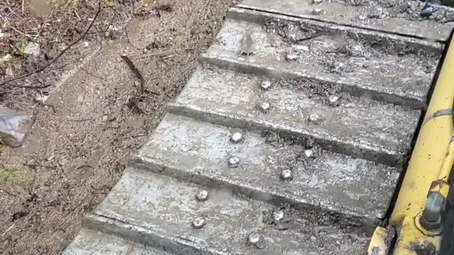 Mouse Uses Bulldozer Tracks as Exercise Machine