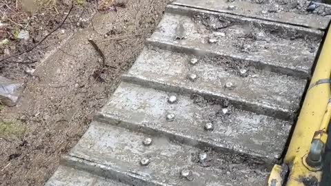 Mouse Uses Bulldozer Tracks as Exercise Machine