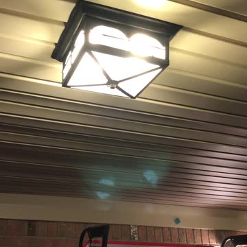 Bee's in the Middle of the Night