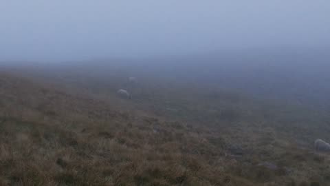 The Start of The 3 Peaks Adventure 2023 Whernside