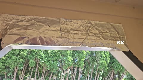 Barn Swallow Free, 2 years and Counting, 10 Cent Solution