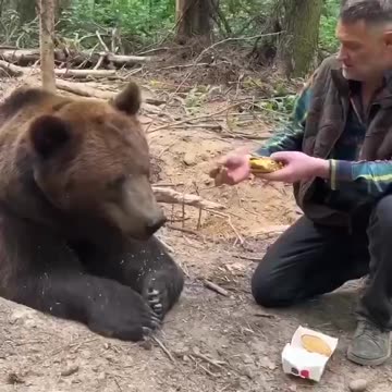 Bear Fun- He Knows the truth About Macdonald's