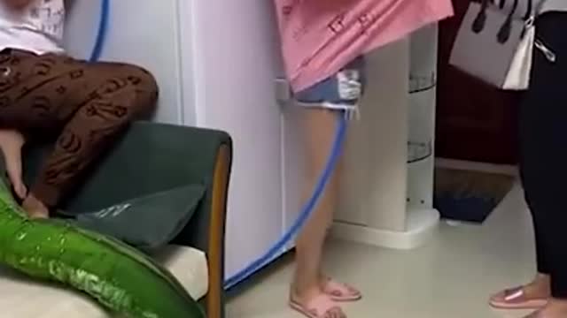 Funny videos ,Mast funny video Viral funny video.