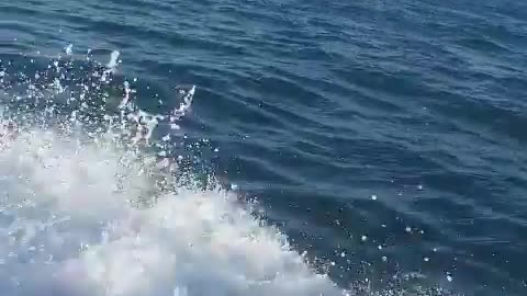 View of the sea from a fishing boat