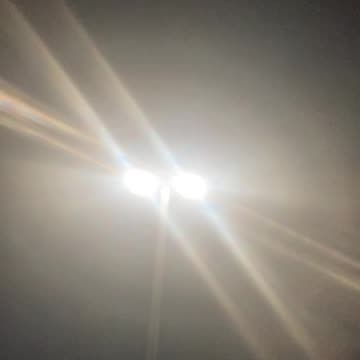 Yep, Biden keeled em