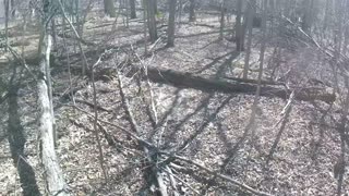Honda CRF250F Trail Riding #4