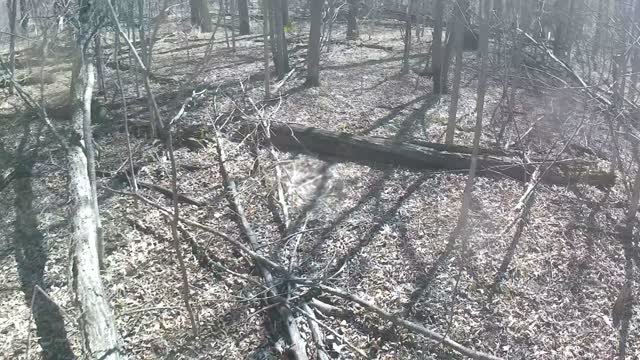 Honda CRF250F Trail Riding #4