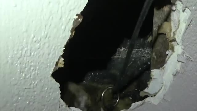 Stray Cat Stuck In A Wall For Over A Week