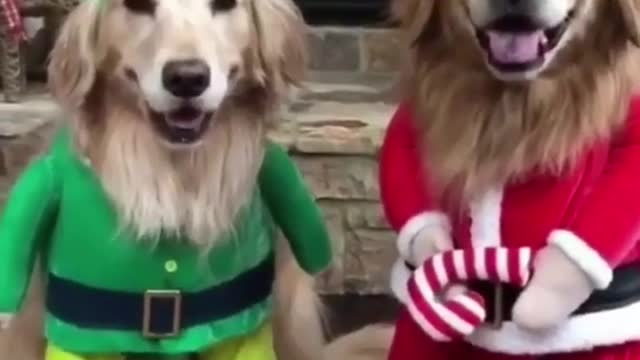 Santa claus beautiful pupy animals are freand happy Christmas De