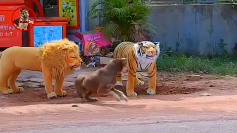 troll prank dog , fake Lion and Tiger