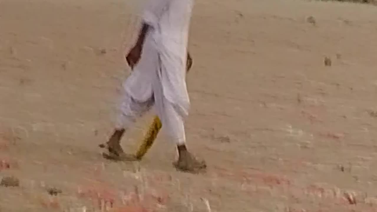 Cricket ground