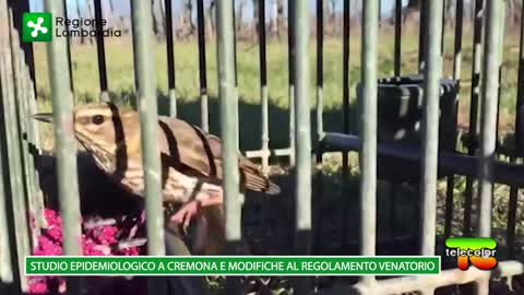 Regione Lombardia: studio epidemiologico a Cremona e modifiche regolamento venatorio