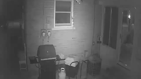 Fairy caught on security camera