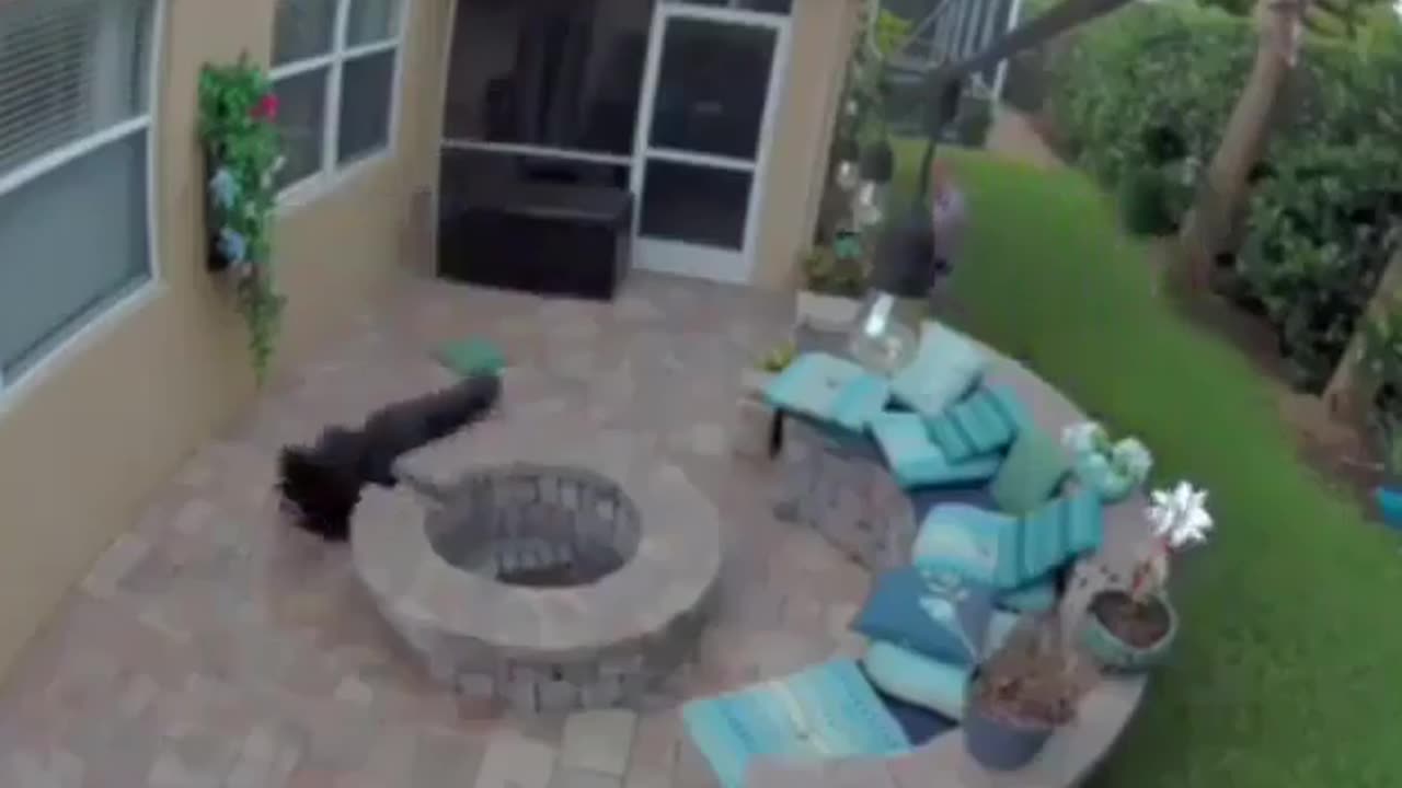 Hard Head Tasered