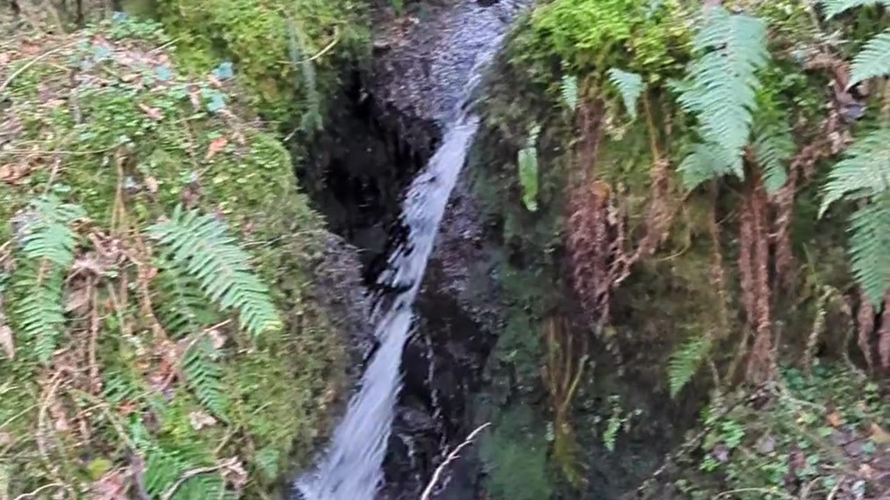 Devil's glen waterfall, Ireland, Wicklow