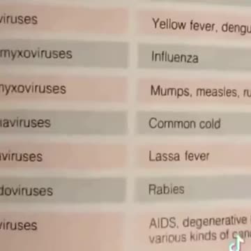 CORONA VIRUS THE COMMON COLD 😆