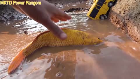 Yellow Bus Rescue Fish In The Lake