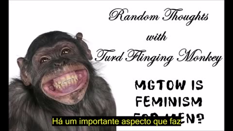 MGTOW é Feminismo para Homens - TFM