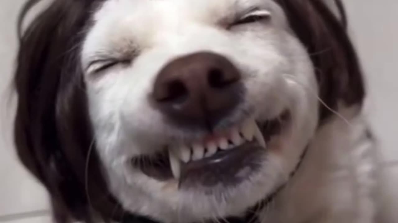 Just smile hahaha