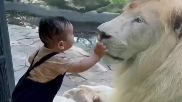 So Beautiful And Cute Baby At Zoo 😱 in 2022 | Cute wild animals, Cute animal photos,