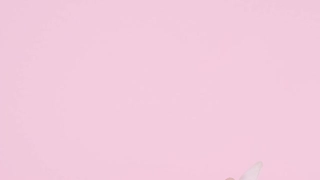 Pinky Cats