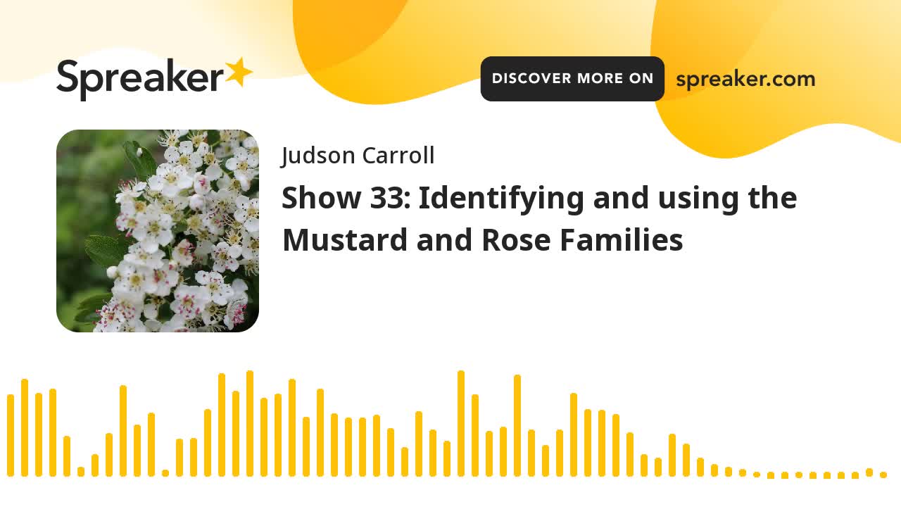 Show 33: Identifying and using the Mustard and Rose Families (part 3 of 3)