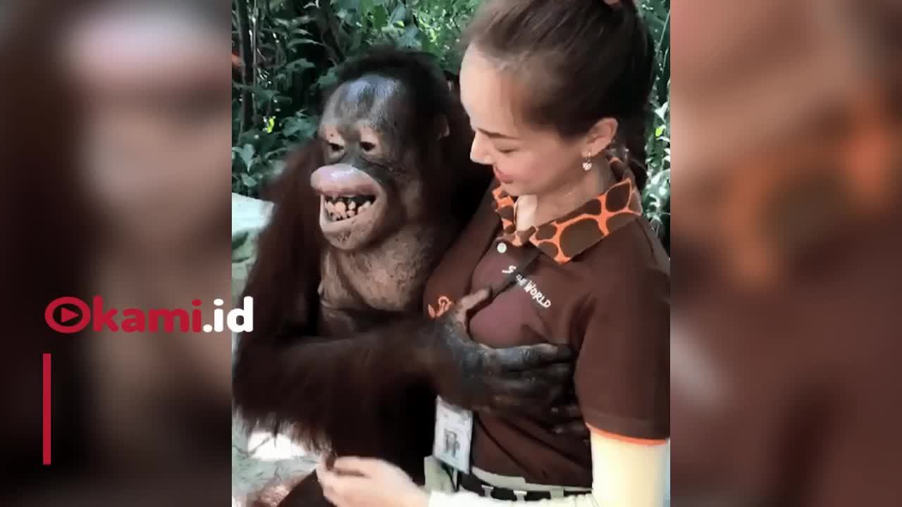 monkey likes milk