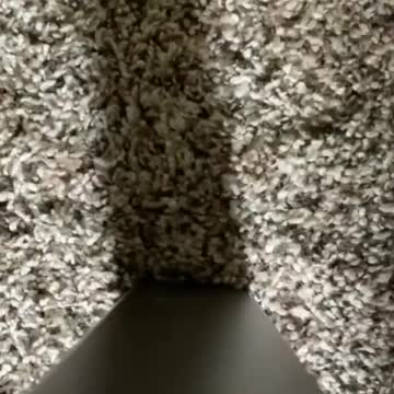 Cute Cat Singing Ah Aaaaa aa Cute Animal Videos Full Screen Whatsapp Status shorts