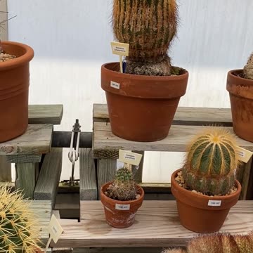 DON'T GET TOO CLOSE! #explore