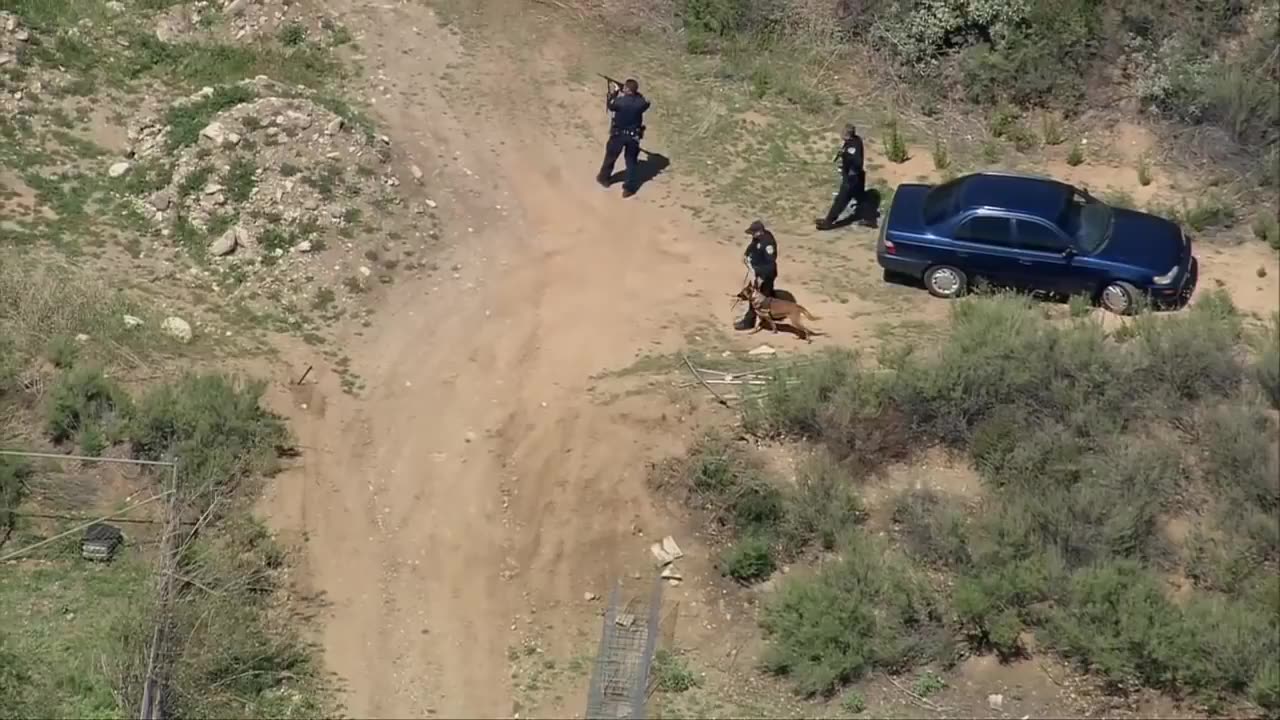 POLICE CHASE ENDS IN K9 BITE !