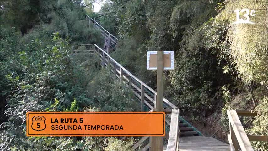 radal rio