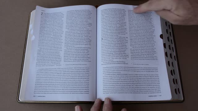 New Oxford Annotated Bible Fifth Edition