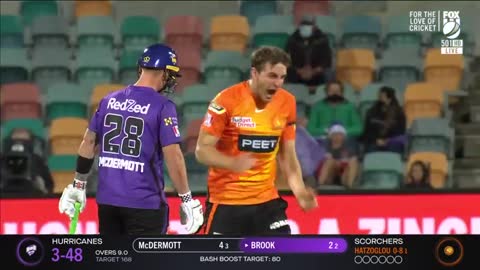 Cricket highlights bbl highlight