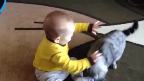 Baby boy meets a cat first time😍