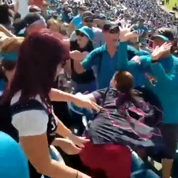 Fan Gets KNOCKED OUT During NFL Game — Wife Goes For Revenge!