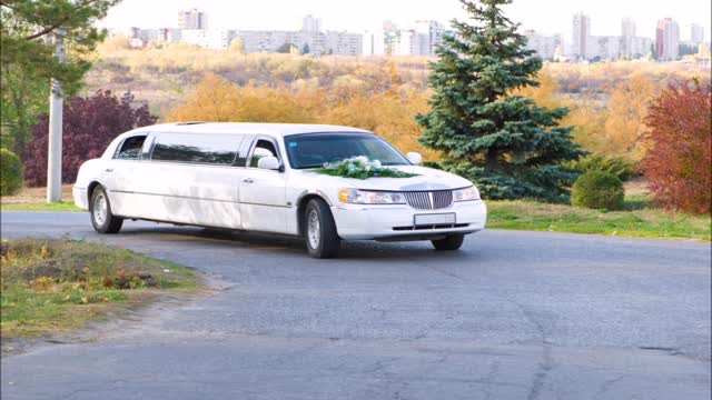 Arlington Limousine Services LLC - (703) 568-9102